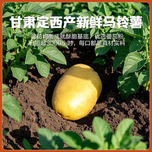 土豆空气脆（番茄味）60g 商品图4
