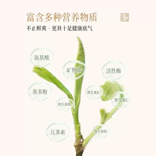 澜沧古茶2024年白玉玲珑 蜜香浓郁老白茶 多种营养矿物质送礼体面节日 茶妈妈357克 商品图4