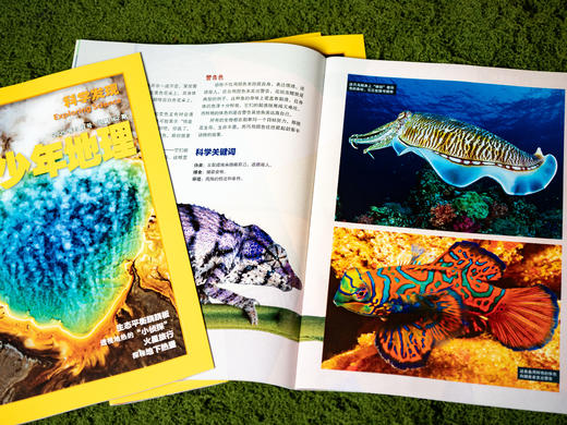 【国家地理出品】《环球少年地理：科学发现》2026年5月-2027年4月订阅|全12期，丰富内容+小初中课标+双语视野，1000+知识点，带孩子探索万千世界、科学素养提升 商品图2