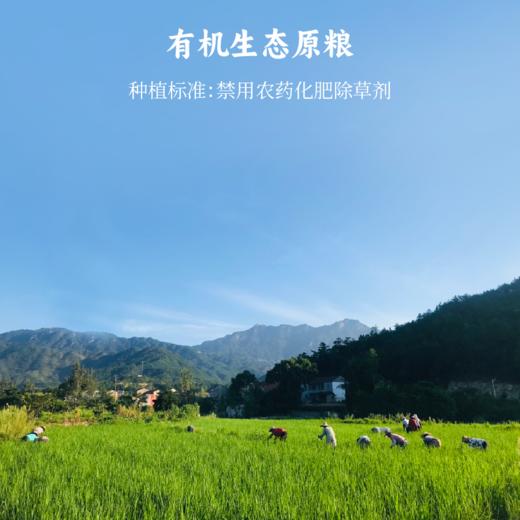 【上新】谦益有机素粽子300g （共6枚，3个口味）汨罗非遗手工技艺 自种有机原粮 本味安心 商品图2