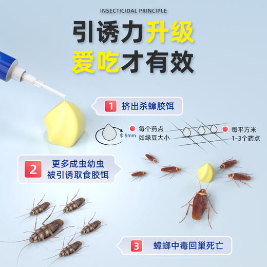 爆品蟑螂胶饵热卖中!!【SWKIER 杀蟑胶饵】10G一只，科学配比灭蟑螂，升级配方，快速引诱，主动取食，有效除蟑~ 商品图3