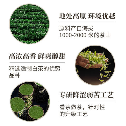 高山贡眉2021年老白茶 鲜爽醇甜 送礼体面 澜沧古茶茶妈妈老白茶白牡丹茶饼 商品图4