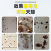 爆品蟑螂胶饵热卖中!!【SWKIER 杀蟑胶饵】10G一只，科学配比灭蟑螂，升级配方，快速引诱，主动取食，有效除蟑~ 商品缩略图5