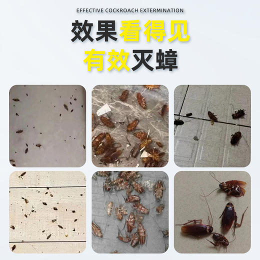 爆品蟑螂胶饵热卖中!!【SWKIER 杀蟑胶饵】10G一只，科学配比灭蟑螂，升级配方，快速引诱，主动取食，有效除蟑~ 商品图5