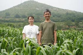 山西十年，玲子姐和那片压塌楼（一）