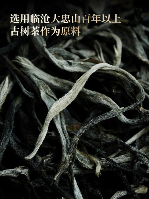 4月27日中午12点【冰岛王散茶】2026年头春头采临沧茶区滋味鲜甜纯净甘洌如泉 茶韵清劲如山风呼啸。 商品图5