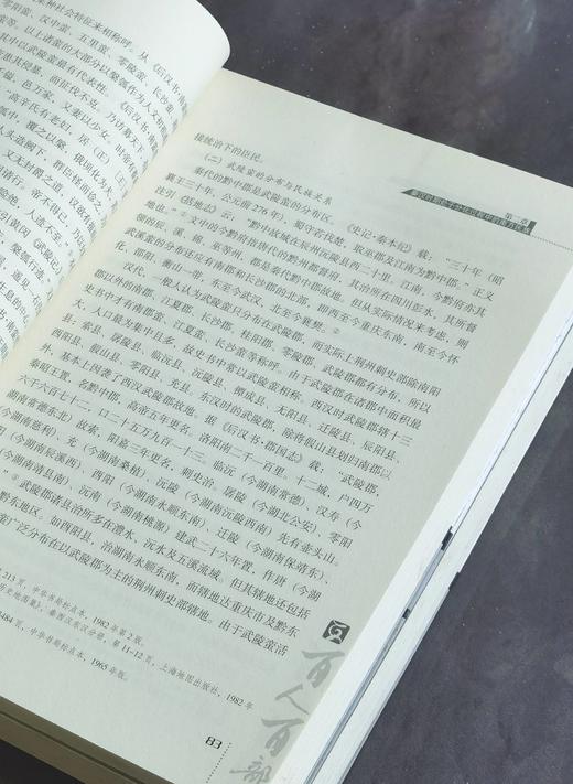 【处理】《中国南方民族史》，小16开，王文光著，云南人民出版社2011年版，331页，定价60，售价15元，非偏远地区包邮。品相95成。 商品图8