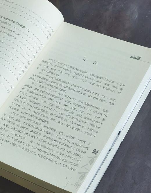 【处理】《中国南方民族史》，小16开，王文光著，云南人民出版社2011年版，331页，定价60，售价15元，非偏远地区包邮。品相95成。 商品图5
