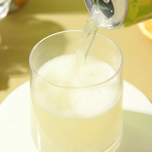 麦德龙 麦臻选 刺梨黄金柚气泡饮 310ml*12 商品图2