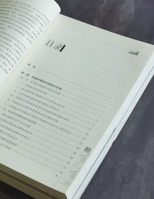【处理】《中国南方民族史》，小16开，王文光著，云南人民出版社2011年版，331页，定价60，售价15元，非偏远地区包邮。品相95成。 商品图2