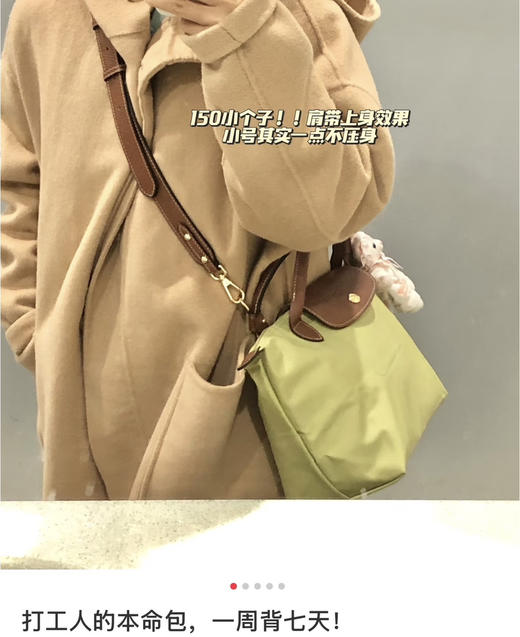 珑翔26新色鹅卵石灰开心果绿饺子包托特包双肩包 商品图10