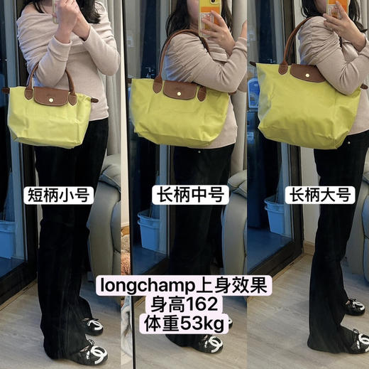 珑翔26新色鹅卵石灰开心果绿饺子包托特包双肩包 商品图1
