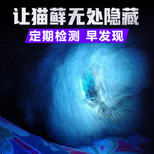 现货批发伍德氏手电猫藓灯365NM紫外线手电筒猫藓检测荧光手电筒 商品图2