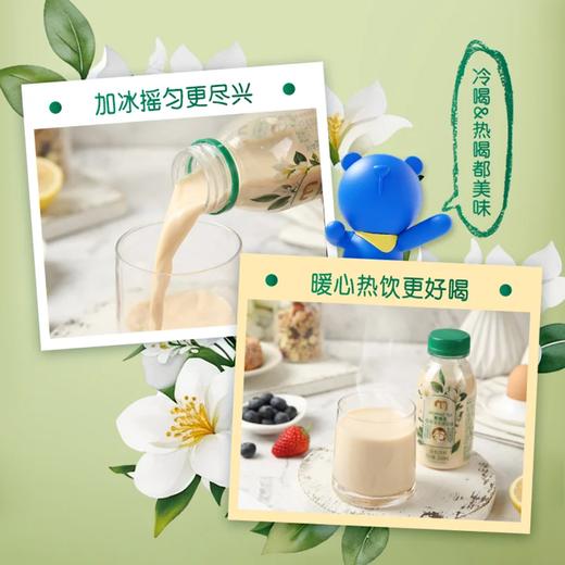 麦德龙 麦臻选 翡翠茉莉鲜奶绿 240ml*6 商品图4