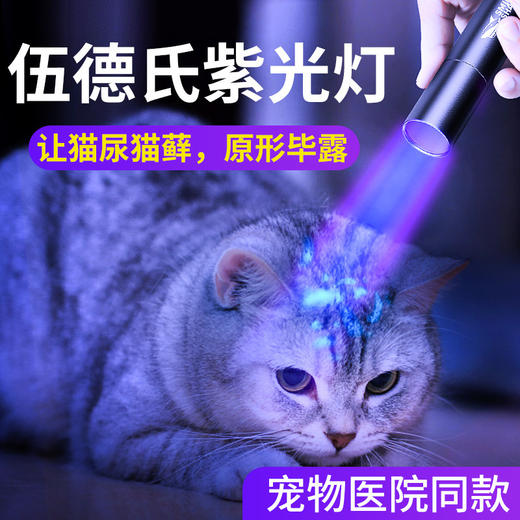 现货批发伍德氏手电猫藓灯365NM紫外线手电筒猫藓检测荧光手电筒 商品图0