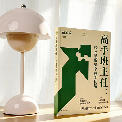 高手班主任：轻松破解51个棘手问题（大教育书系） 商品图2