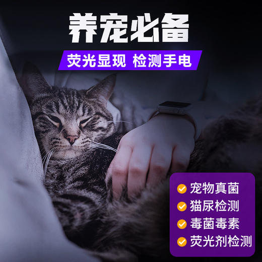 现货批发伍德氏手电猫藓灯365NM紫外线手电筒猫藓检测荧光手电筒 商品图1