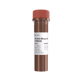 流式抗体 PE Anti-Mouse NK1.1 Antibody
