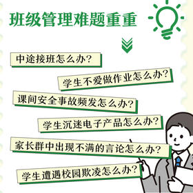 高手班主任：轻松破解51个棘手问题（大教育书系）