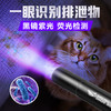 现货批发伍德氏手电猫藓灯365NM紫外线手电筒猫藓检测荧光手电筒 商品缩略图3