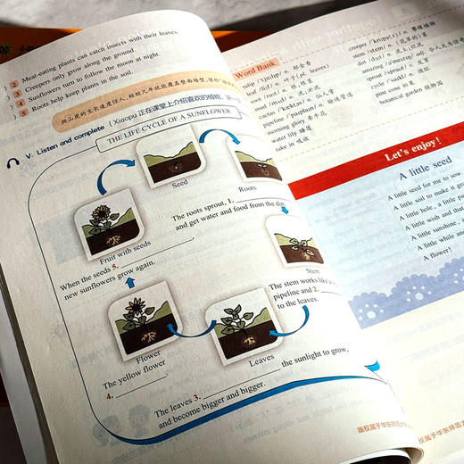 【全国通用大字版】2026全新英语听力 1-9年级基础+提高版  扫码听附文本答案 商品图6