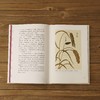 “中国食物系列” x3本《粮食史话》+《蔬菜史话》+《水果史话》以历史发展为线索，探寻中国人的饮食文化及植物故事科普 植物学博士史军著作-分销 商品缩略图3