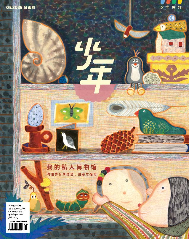 《少年新知》2026年第05期 我的私人博物馆 与世界分享热爱,困惑与惊奇