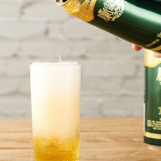 青岛500ml奥古特1903啤酒 商品图4