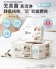 5楼爱慕先生雪绒棉日用卫生巾（245mm*10片）JS150310吊牌价19 商品缩略图0