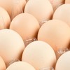 每日伊藤保洁鲜鸡蛋３０枚 商品缩略图1