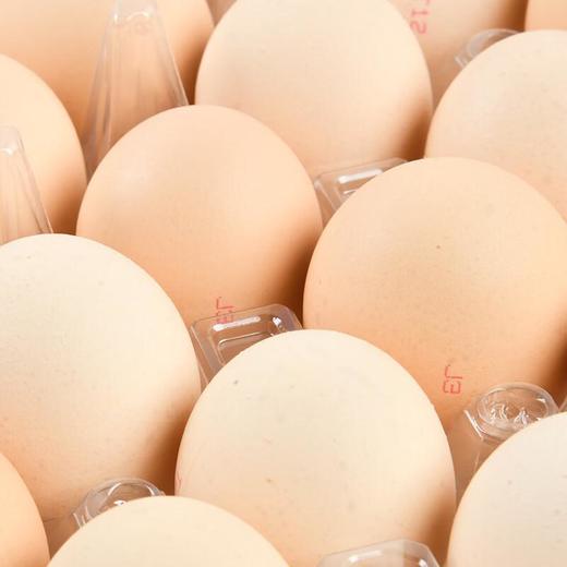 每日伊藤保洁鲜鸡蛋３０枚 商品图1