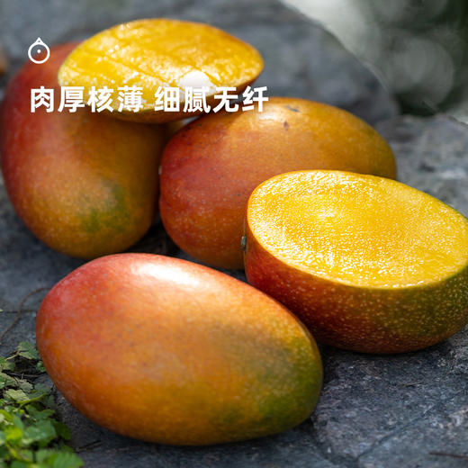 企鹅市集|海南三亚 爱文芒 芒果皇后 浓甜多汁 香气浓郁 商品图1