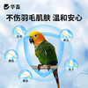华畜鹦鹉驱虫喷雾鸟用体外杀虫剂除羽虱螨虫八哥玄凤虎皮专用药 商品缩略图2