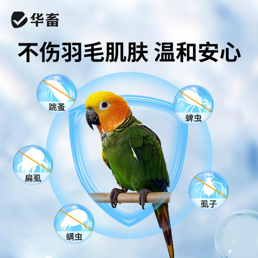 华畜鹦鹉驱虫喷雾鸟用体外杀虫剂除羽虱螨虫八哥玄凤虎皮专用药 商品图2