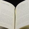 平等的方法：与洛朗·让皮耶尔和多克·扎布尼扬的访谈     [法]雅克·朗西埃 著  ，蓝江、赵韦博 译 商品缩略图6