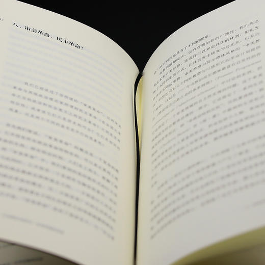 平等的方法：与洛朗·让皮耶尔和多克·扎布尼扬的访谈     [法]雅克·朗西埃 著  ，蓝江、赵韦博 译 商品图6