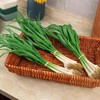 【MLT】蒜苗 商品缩略图1