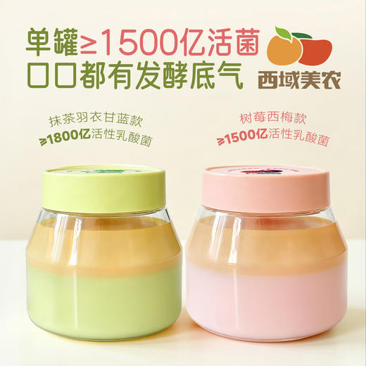 西域美农 双色奶皮子酸奶 西梅树莓  抹茶羽衣甘蓝 商品图1