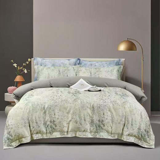【店庆提前购】10楼恐龙天丝棉印花四件套  沐春  200*230cm/220*240cm   吊牌价2180-2280元   活动价499-599元 商品图0