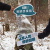 【现货现发】【26年新汁 一年一度生命之水】桦树汁 新增更划算家庭装，帮助加速身体循环，促进代谢 桦树汁值得我们一直坚持下去 商品缩略图5