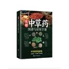 实用中草药图谱 彩图版 商品缩略图0
