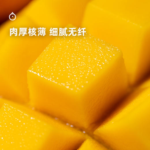 企鹅市集|海南三亚 爱文芒 芒果皇后 浓甜多汁 香气浓郁 商品图2