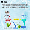 华畜硝化细菌水产养殖专用生物降氨氮亚硝酸盐调水净水反硝化细菌 商品缩略图3
