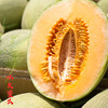 新疆三拼蜜瓜盲盒 三色哈密瓜宝盒 脆甜多汁 一藤一瓜 三种甜蜜 商品缩略图2
