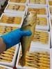 【京东包邮】一站式购物，渤海香蕉虾//3条半野生黄花鱼任选到手79.9 基地直邮 商品缩略图13