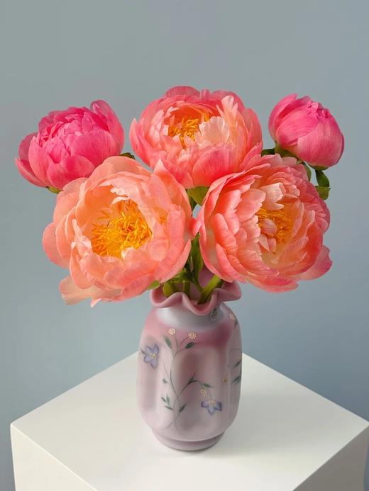 精品落日珊瑚芍药花5支 商品图4