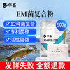 多肽肥水宝10kg + 硅藻种源1包 + EM 菌复合粉1包 Z 商品缩略图1