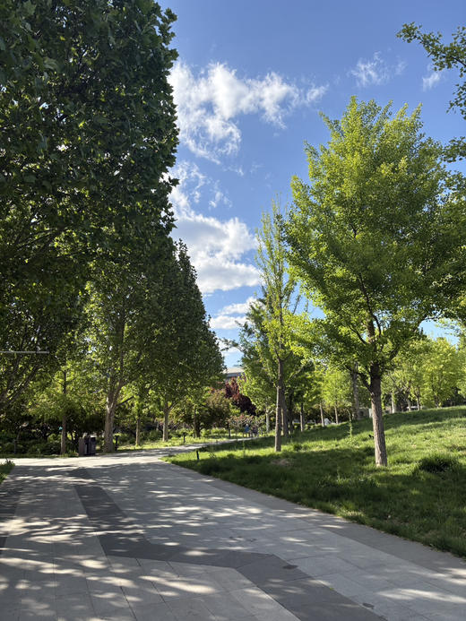 5月调查问卷 商品图0