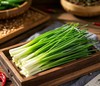 【MLT】小葱 商品缩略图2