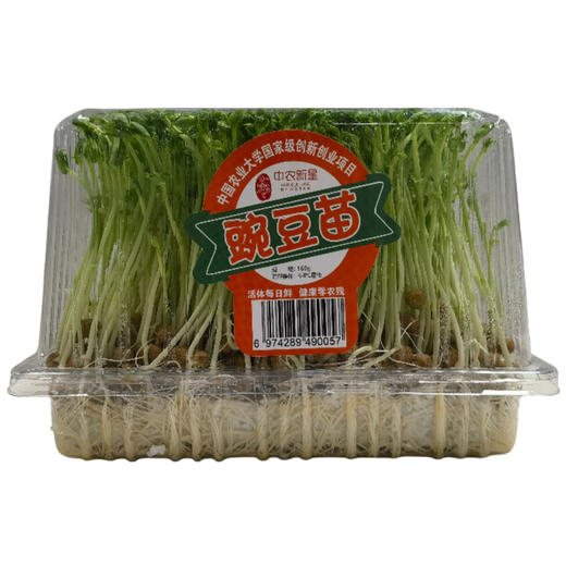本色家族 有机豌豆苗6盒 商品图1